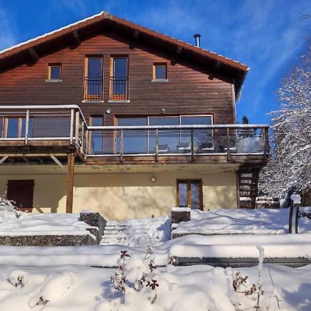 Le Cerf, Chalet Cocooning Avec Piscine Et Billard Ban-sur-Meurthe-Clefcy Exterior foto