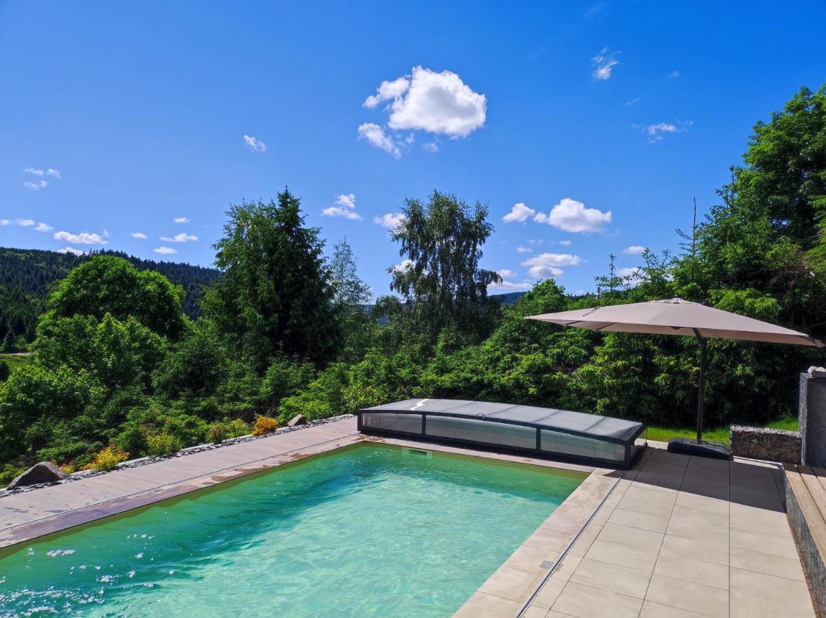 Le Cerf, Chalet Cocooning Avec Piscine Et Billard Ban-sur-Meurthe-Clefcy Exterior foto