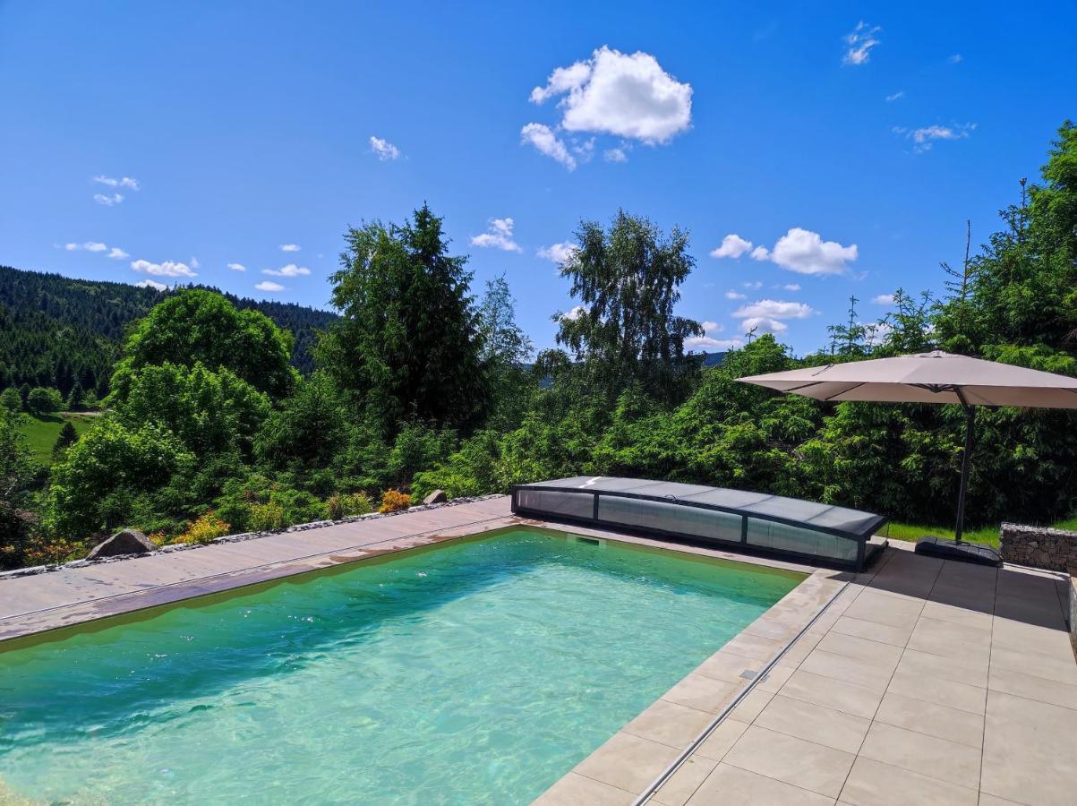 Le Cerf, Chalet Cocooning Avec Piscine Et Billard Ban-sur-Meurthe-Clefcy Exterior foto